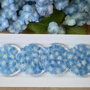 May include: Four round coasters with blue pressed flowers encased in clear resin. The coasters are arranged in a row on a white rectangular tray.