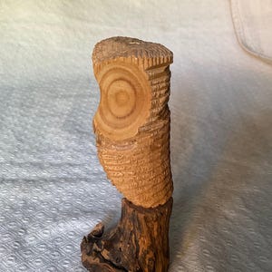 May include: A hand-carved wooden owl sculpture. The owl's head has a circular eye design and is made of light brown wood. The body has a textured, carved pattern. The owl is mounted on a dark brown, textured wooden base.