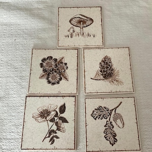 May include: A set of five square off-white coasters featuring dark brown line art illustrations. The designs include a mushroom, a cluster of flowers, a pinecone with needles, a blooming flower with leaves, and an acorn with oak leaves.