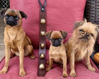 Dog Leather Doorbell Hanger with Bells