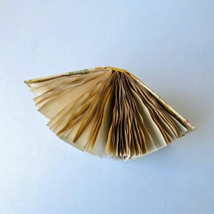 May include: A closed book with a patterned cover, fanned open to reveal the blank pages inside.