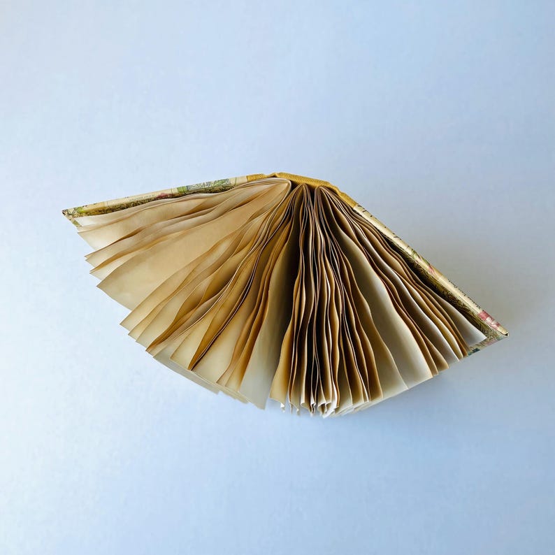May include: A closed book with a patterned cover, fanned open to reveal the blank pages inside.