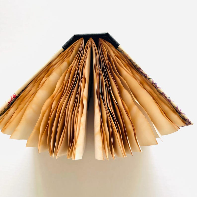 May include: An open book with aged, sepia-toned pages fanned out. The pages have a textured, vintage appearance. The spine is black, and the edges of the pages show a gradient of brown. The cover has a decorative floral pattern.