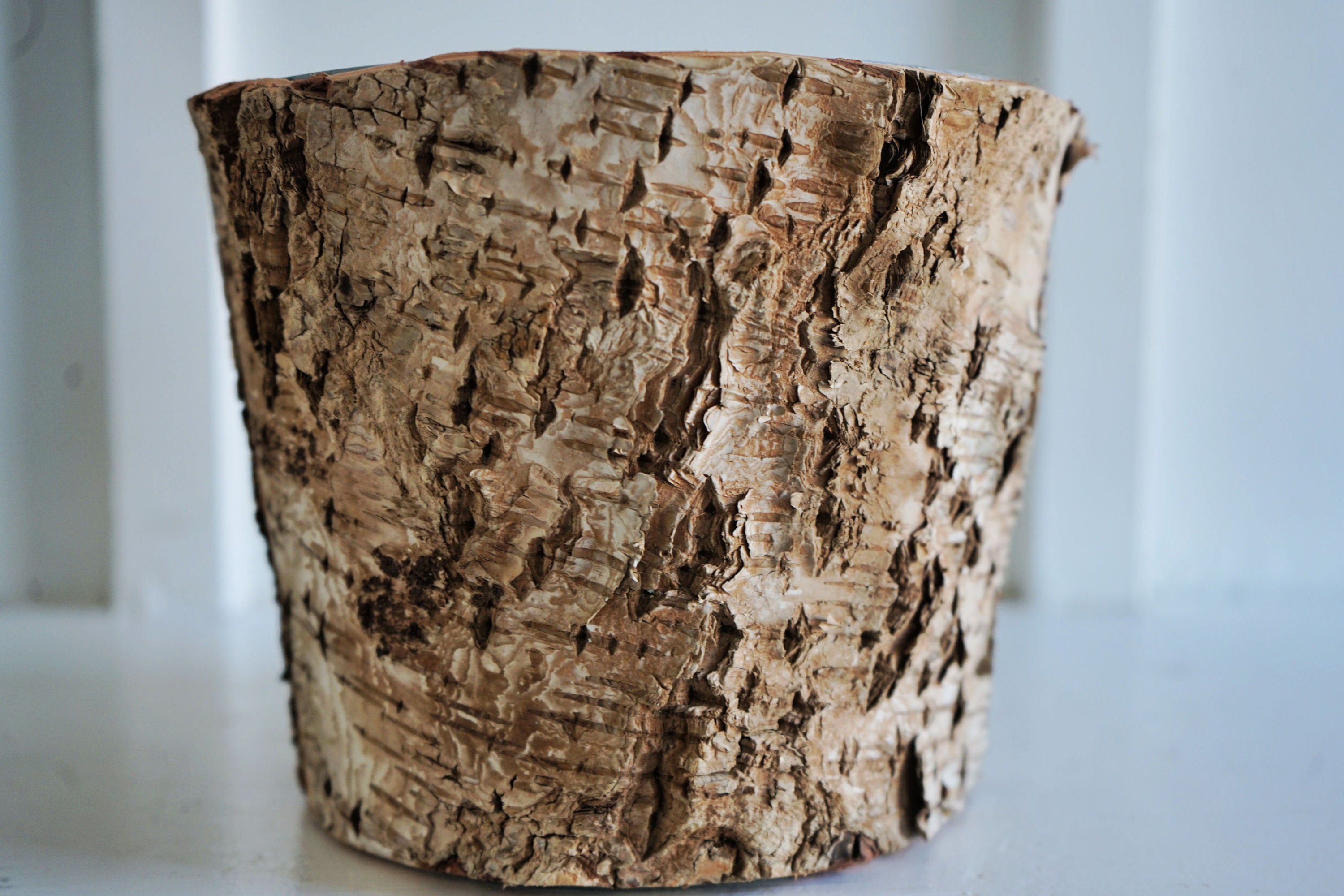 Birch Bark Vase. Large. Round. Birch Wood Centerpiece. Birch Etsy