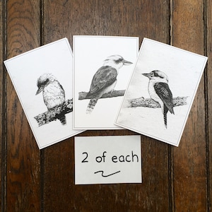 Kookaburra Pack