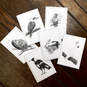 Australisches Vogel Paket
