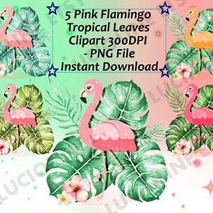 Flamingo Clipart] Tropical Leaves Pink Bird Summer x5 PNG 300dpi Kawaant Flaming Flaming Rose Exotic Palm Tree Download Scrapbooking Stickers