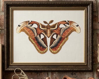 Atlas Moth Cross Stitch Pattern - Fine Art PDF Chart