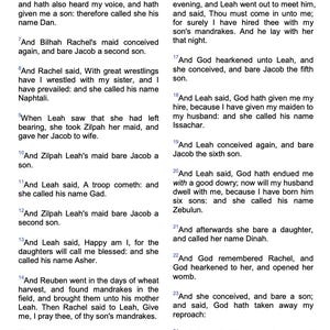 The Holy Bible, King James Version - E-Book [Digital Download] image 5