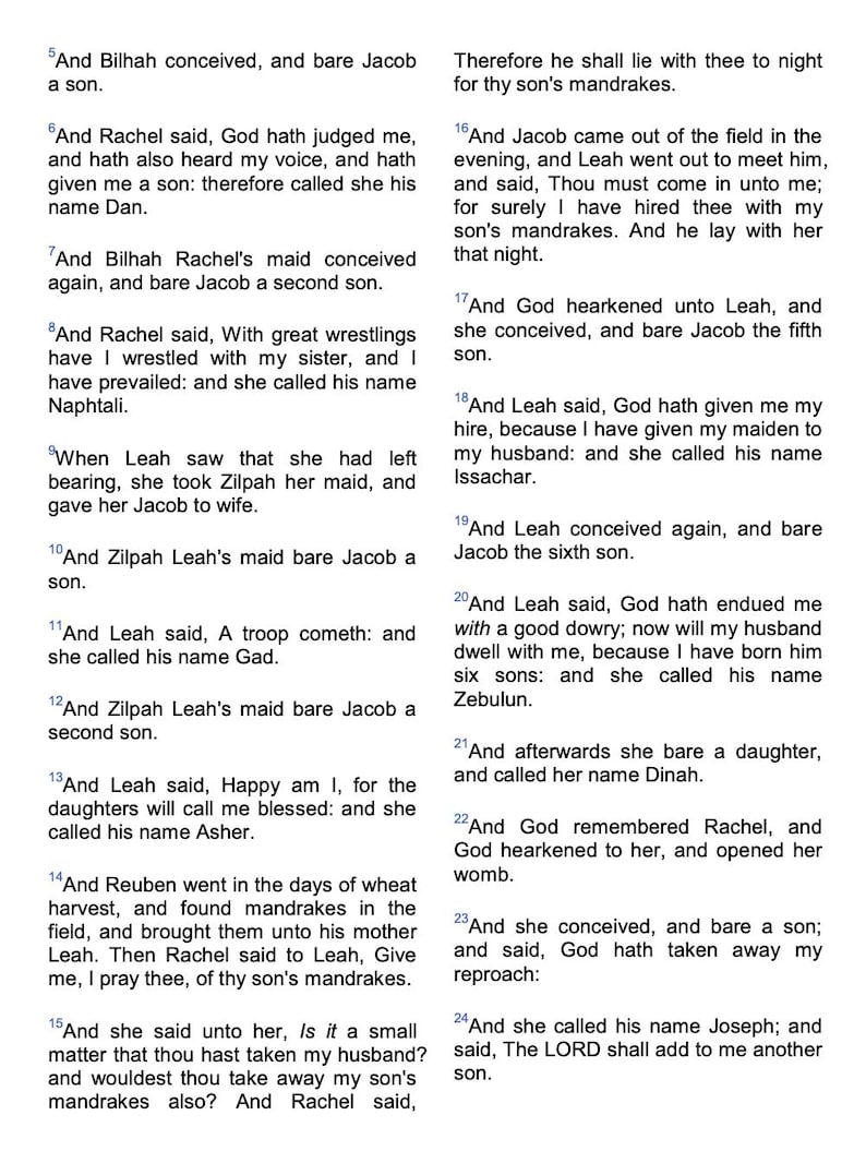 The Holy Bible, King James Version - E-Book [Digital Download] image 5