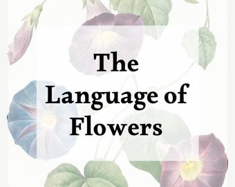 Könnte beinhalten: Eine botanische Illustration mit lila, blauen und weißen Prunkwinden und grünen Blättern. Der Text "The Language of Flowers" ist in Schwarz auf weißem Hintergrund dargestellt, was ein florales Thema hervorhebt.