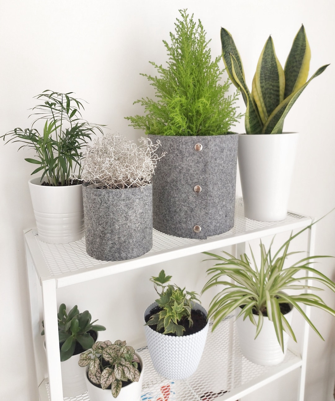 Felt Plant Pot Cover for Stylish Home Interior, Scandinavian Home Decor Style Etsy