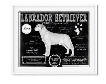 Labrador Retriever: Architettura antica Brevetto Disegno Stampa /Wall Art / Labrador Retriever Gift/AKC Breed Info/Home Decor/ Dog Print