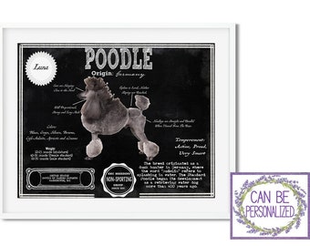 May include: A black and white illustrated poster of a Poodle dog with the breed's characteristics listed. The poster has a chalkboard background and the text "POODLE" and "Origin: Germany" is at the top. The dog's name is "Laura".
