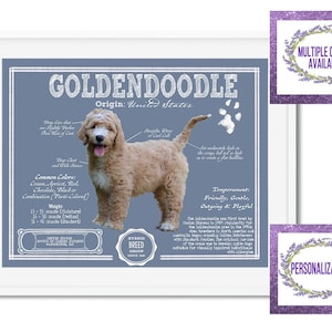 Goldendoodle: Antique Architecture Patent Drawing Style Print / Wall Art / Home Decor Goldendoodle Gift Dog Breed Art - Can be personalized!