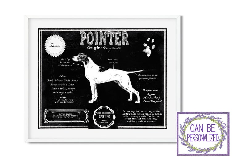 Peut inclure: Illustration vintage en noir et blanc d'un chien de race Pointer. L'image comprend le nom du chien "Luna" et l'origine de la race, "Angleterre". Le texte comprend &eacute;galement le temp&eacute;rament du chien, "Loyal, Travailleur, &Eacute;quilibr&eacute;".