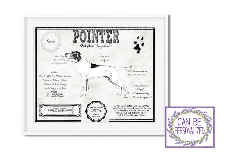 Peut inclure: Illustration vintage en noir et blanc d'un chien de race Pointer avec le nom "Laina" et des informations sur la race. Le texte indique "POINTER Origin: England". L'image comprend une empreinte de patte et le texte "CAN BE PERSONALIZED".