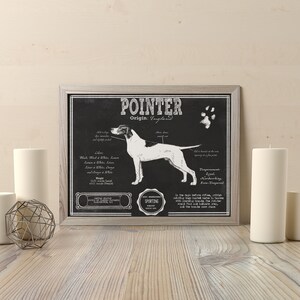 Peut inclure: Illustration en noir et blanc d'un chien de race Pointer sur fond de tableau noir. L'illustration comprend le nom du chien, son origine et ses caract&eacute;ristiques physiques. Le texte indique "POINTER Origin: England".