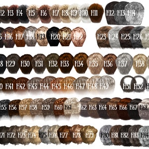 May include: A collection of 84 different hair color swatches, each labeled with a number from H1 to H84. The swatches range from dark black to light blonde, with various shades of brown, gray, and red.