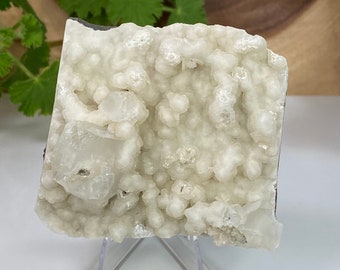 Apophyllite Crystals in Chalcedony Matrix from Nashik, India - Natural Zeolite Display Piece Perfect for Mineral Collections and Metaphysics