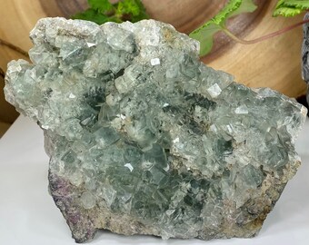 Cubic Green Fluorite Crystals in Matrix the Hunan Province - Natural Fluorescent Display Piece Perfect for Mineral Collectors + Healing