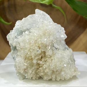 Apophyllite avec calcédoine druzy dans une matrice de Nashik, Inde - Présentoir en zéolite naturelle parfait pour les collections de minéraux