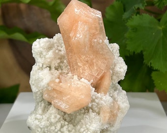 Peach Stilbite Crystals w/ Druzy White Chalcedony from Nashik, India - Natural Display Piece Perfect for Mineral Collections + Metaphysics