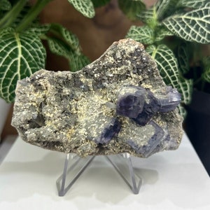 Purple Fluorite Clustered in Matrix with Quartz Crystals and Arsenopyrite from the Hunan Province - Natural Mineral Collection Display Piece