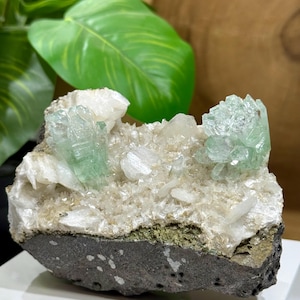 Gem Green Apophyllite var. Fluorapophyllite Crystals with Stilbite and Calcite in Matrix from Ahmednagar, Maharashtra, India - 20% OFF SALE