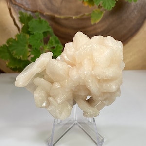 Cristaux de stilbite avec apophyllite dans une matrice de Nashik, Inde - Présentoir en zéolite naturelle parfait pour les collections de minéraux et la métaphysique