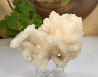 Cristales de estilbita con apofilita en matriz de Nashik, India - Pieza de exhibición de zeolita natural perfecta para colecciones de minerales + metafísica