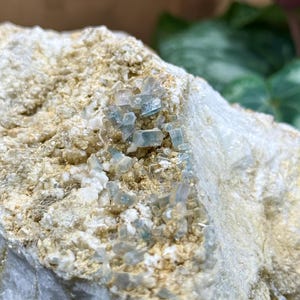 Puede incluir: Primer plano de una roca con un grupo de pequeños cristales de aguamarina azul claro incrustados. Los cristales son translúcidos y tienen un brillo vítreo.