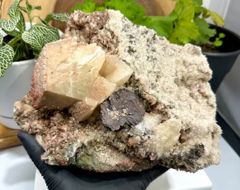 Skeletal Calcite w/ Hematite Included Calcite Crystals and Hematite Blades in Matrix from The Hubei Province - Natural Mineral Display Piece