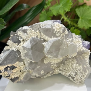 Quartz Crystal Cluster w/ Purple Fluorite and Ferberite from The Shangbao Mine, Hunan Province - Perfect for Mineral Collections + Healing