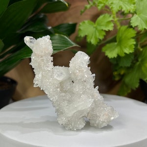 Cristaux d&#39;apophylite sur stalactites de calcédoine avec stilbite pêche de Nashik, Inde - Présentoir en zéolite naturelle parfait pour les collectionneurs