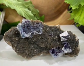 Cubic Fluorite Crystals with Unique Purple Saturation in Matrix with Micro Pyrite from The Hunan Province - Natural Mineral Display Piece