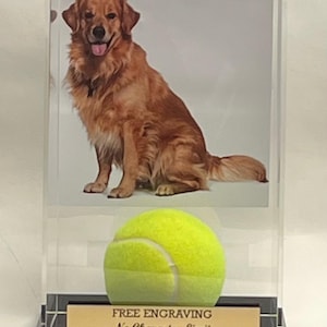 May include: A clear acrylic display case featuring a photo of a golden retriever and a tennis ball. The tennis ball is bright yellow. A gold plaque at the base reads "FREE ENGRAVING No Character Limit Keepsakes Under Glass."