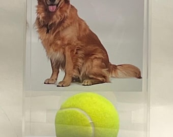 Vitrine acrylique Pet Memorial : photo, boule et gravure gratuite