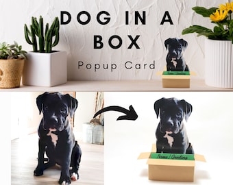 Perro personalizado en una tarjeta emergente de caja / Retrato de perro personalizado / Memorial de mascota / Titular de tarjeta de regalo / Adorno / Pantalla de marco de imagen de mascota