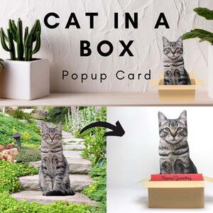 Personalized Cat in a Box Pop Up Card / Custom Cat Portrait / Pet Memorial / Gift Card Holder / Ornament / Pet Picture Frame Display