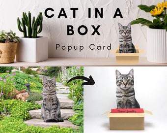 Gato personalizado en una caja Pop Up Card / Retrato de gato personalizado / Pet Memorial / Titular de la tarjeta de regalo / Adorno / Exhibición de marco de fotos de mascotas