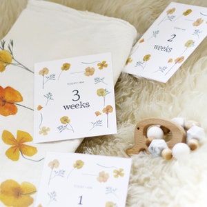 Baby-Meilensteinkarten, florale Meilensteinkarten, druckbare Baby-Meilensteinkarten, Baby-Monatsschilder, florale Monatsmarker