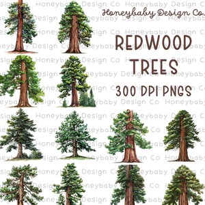 Majestic Redwoods: Alcohol Ink Style Redwood Tree PNGs (Set of 12) | Personal Or Commercial Use | Instant Digital Download Clipart