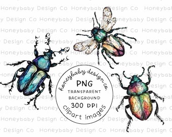 Alcohol Ink Beetle PNG Set – Realistic Insect Art (Digital Download)