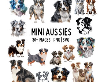 Mini Australian Shepherd Clipart, PNG SVG Vectors (Digital Download)