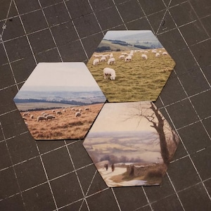 Alternate/Replacement Sheep Tiles for Catan. (Set of Four)