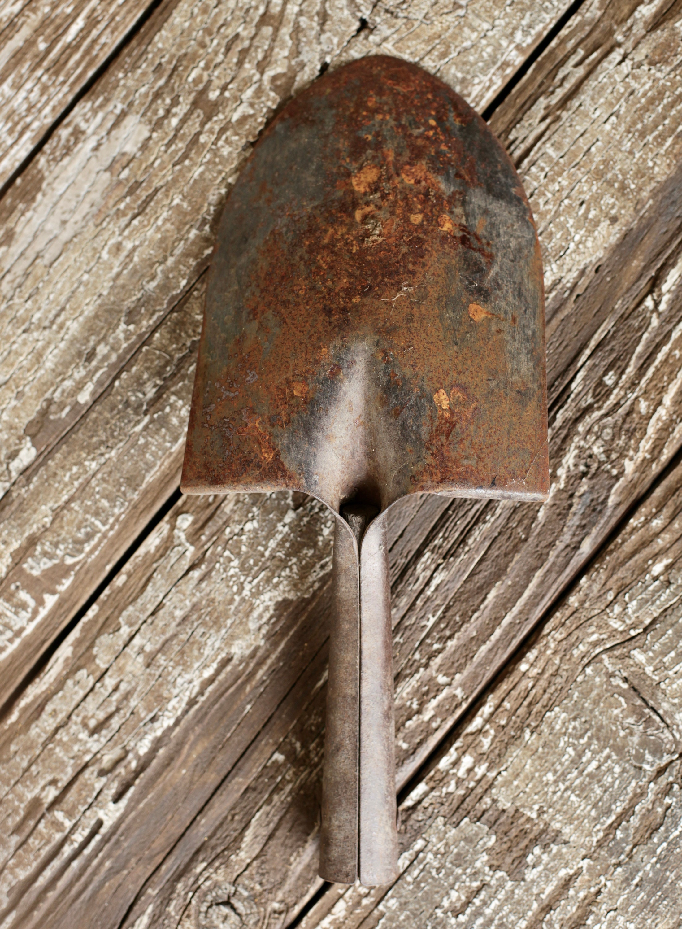 Lot of Four, Old, Rusty Shovel Heads, Vintage Shovel, Antique Shovel