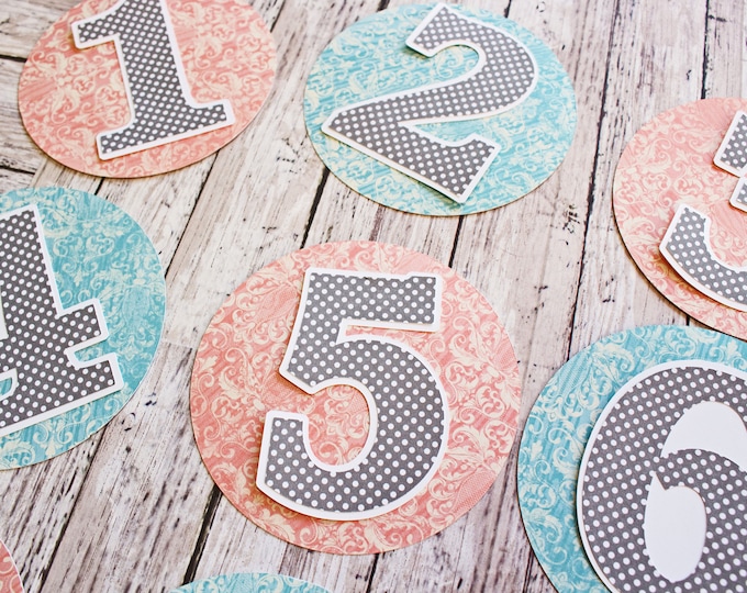 Any Color, Any Pattern, Baby Milestones, Monthly Milestone, Layered Diecut Set, 12 Month, Baby Months, Birthday Number, Numbered Paper Decal