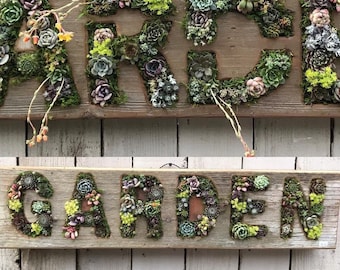 Word Box Vertical Succulent Arrangement/ Succulent garden/ vertical garden/ letter planter/ moss planter/ garden box/ Empty frame/ custom