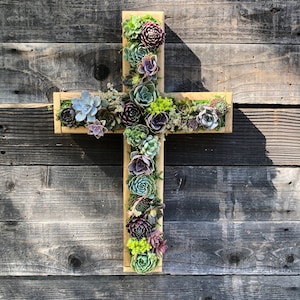 May include: A wooden cross with a variety of succulents planted in it. The cross is mounted on a weathered wooden wall.